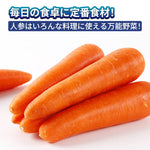 ギャラリーに画像を読み込む、にんじん 人参 秀品 2L 5kg ジュース 野菜 家庭用 業務用