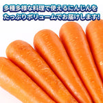 ギャラリーに画像を読み込む、にんじん 人参 秀品 2L 10kg ジュース 野菜 家庭用 業務用