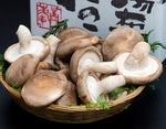 ギャラリーに画像を読み込む、湯布院きのこ村 有機JAS認証『佐藤さんの1年原木栽培しいたけ』大分県産 しいたけ 約600g(12〜16枚) かご盛り 化粧箱・リーフレット入り ※冷蔵