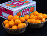 ギャラリーに画像を読み込む、JA蒲郡市 『なつみ(南津海)』愛知県産 柑橘 優〜秀 S〜L 約5kg 産地箱 風袋込 ※常温