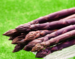 ギャラリーに画像を読み込む、【有機JAS認証】『紫アスパラガス 3Lサイズ(500g 8本前後)』北海道産 ※冷蔵