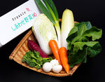 ギャラリーに画像を読み込む、「於愛の方」ふるさと『オーガニック野菜セット(Sサイズ)』静岡県掛川市産 旬の有機野菜6〜8袋 ※冷蔵