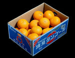 ギャラリーに画像を読み込む、JAにしうわ三崎共選『訳あり 越冬樹熟 清見オレンジ』愛媛県産 M〜3Lサイズ 約5kg 産地箱 風袋込 ※常温