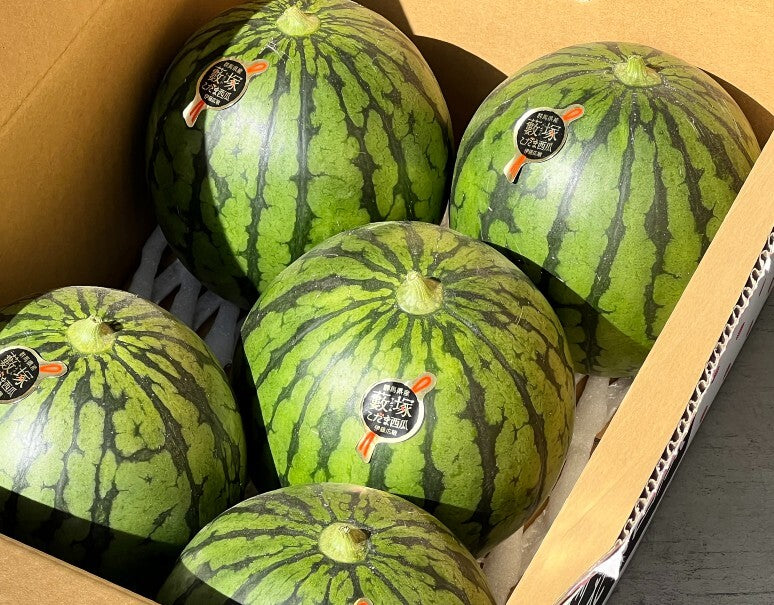 薮塚の紅こだまスイカ（品種：まなむすめ または ひとりじめ）』群馬県