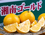 ギャラリーに画像を読み込む、『湘南ゴールド』神奈川県産 柑橘 優〜秀 S〜4L 約2.4kg 簡易箱 ※常温