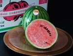 ギャラリーに画像を読み込む、JA北つくば 『小玉すいか スウィートキッズ』茨城県産 計約8kg(4玉)産地箱 風袋込 ※冷蔵