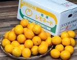 ギャラリーに画像を読み込む、『レモネード』静岡県産 柑橘 2S〜2Lサイズ 風袋込み約5kg 産地箱 ※常温