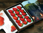 ギャラリーに画像を読み込む、秘蔵いちご『華かがり』約400g 大粒(9〜12粒)化粧箱 ※冷蔵 JAぎふ