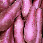 ギャラリーに画像を読み込む、さつまいも 5KG前後 シルクスイート 紅はるか 紅あずま 訳あり品 サツマイモ 焼き芋に 千葉県・茨城県産地厳選 B品 美味しい やきいもに 食物繊維 美容 スイーツ ギフト