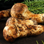 ギャラリーに画像を読み込む、生松茸 訳あり <開き方・大きさおまかせ>空輸 中国産 フレッシュ松茸 野菜おじさん進め、 鮮度優先 生鮮マツタケ