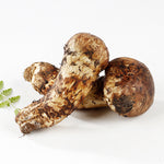 ギャラリーに画像を読み込む、生松茸 訳あり <開き方・大きさおまかせ>空輸 中国産 フレッシュ松茸 野菜おじさん進め、 鮮度優先 生鮮マツタケ