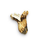 ギャラリーに画像を読み込む、生松茸 訳あり <開き方・大きさおまかせ>空輸 中国産 フレッシュ松茸 野菜おじさん進め、 鮮度優先 生鮮マツタケ