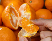 『南紀のカラマンダリン』三重県産 柑橘 秀 約5kg 産地箱 風袋込 ※常温