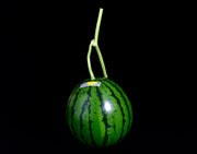 『ルナピエナ』高知県夜須町産すいか 秀 1玉 約1.5kg 簡易箱 ※冷蔵