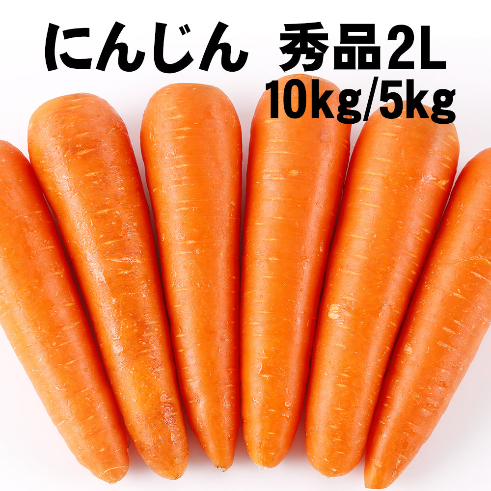 にんじん 人参 秀品 ２Ｌ １０ｋｇ ジュース 野菜 家庭用 業務用