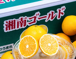 ギャラリーに画像を読み込む、『湘南ゴールド』神奈川県産 柑橘 優〜秀 S〜4L 約5kg 産地箱 風袋込 ※常温
