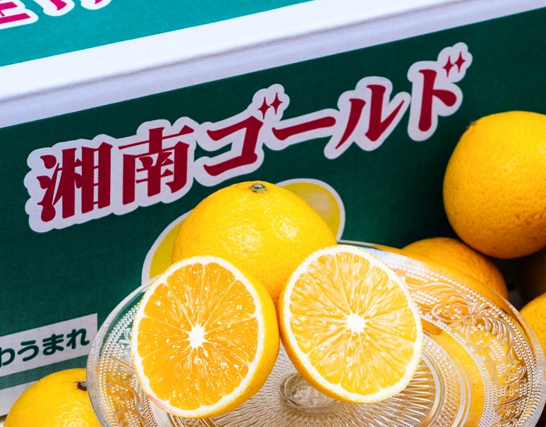 『湘南ゴールド』神奈川県産 柑橘 優〜秀 S〜4L 約5kg 産地箱 風袋込 ※常温