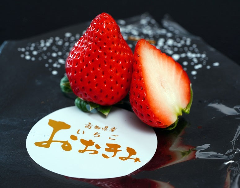 『おおきみ』高知県産いちご 2P 計約500g (1パック8〜15粒)※冷蔵