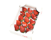 大粒『菅谷さんのいちご』茨城県産 約420g（15粒）化粧箱入り※冷蔵