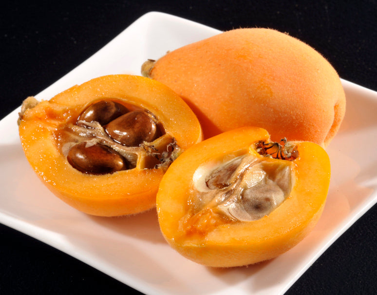 ハウス「長崎びわ」長崎県産 L〜2Lサイズ 2箱 計約1kg(9〜12玉×2) 化粧箱 ※冷蔵