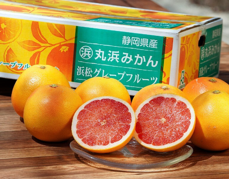 『国産グレープフルーツ（スタールビー）』静岡県産 柑橘 秀 約3kg（7〜10玉）産地箱 風袋込 ※常温