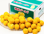 ギャラリーに画像を読み込む、『湘南ゴールド』神奈川県産 柑橘 優〜秀 S〜4L 約5kg 産地箱 風袋込 ※常温
