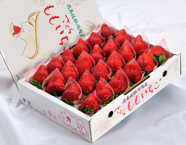 大粒限定『さくらももいちご』徳島県佐那河内産 約700g(16〜24粒) 化粧箱 ※冷蔵