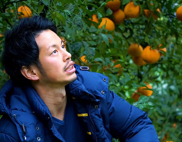 糖度15度以上『池元農園の訳ありしらぬひ』 鹿児島県獅子島産 約2.5kg 風袋込 簡易包装 ※常温