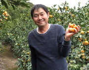 【正規品】 岸田果樹園 樹上熟成「しらぬひ」 大分県産 3L　約2.7kg （目安：10玉）※冷蔵