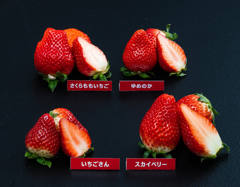 『いちご4種セット』徳島県「さくらももいちご」＋佐賀県「いちごさん」＋長崎県「ゆめのか」＋栃木県「スカイベリー」 4品種 合計約1kg ※冷蔵