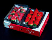 『いちごさん』 佐賀県産 いちご 2L〜4L（8〜12粒） 約240g×4パック ※冷蔵