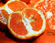 『せとみ』山口県産 柑橘 秀 S〜3L 約2.4kg 簡易箱 ※常温