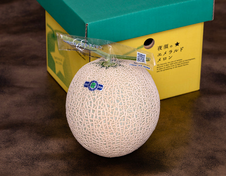 JA夜須『エメラルドメロン（マスクメロン）』高知県産 1玉 約1.3kg 化粧箱 風袋込 ※常温