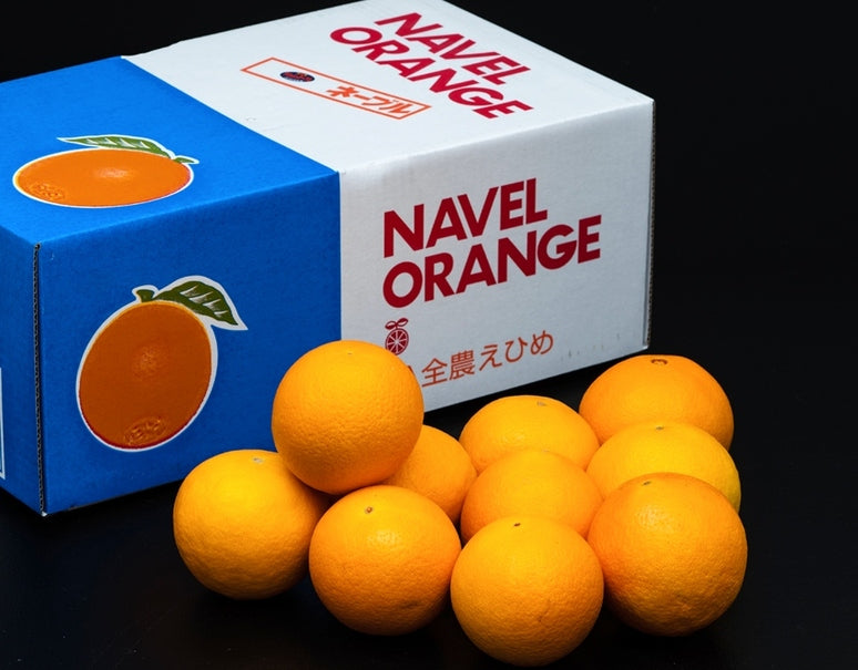 『イエローデリッシュネーブル』愛媛県産 柑橘 秀 2〜3L 約2.5kg（8〜10玉）簡易箱 ※常温