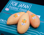 『大玉ナンドクマイ』タイ産マンゴー（ナムドクマイ）計約1.4kg（4玉）簡易箱 空輸 ※常温