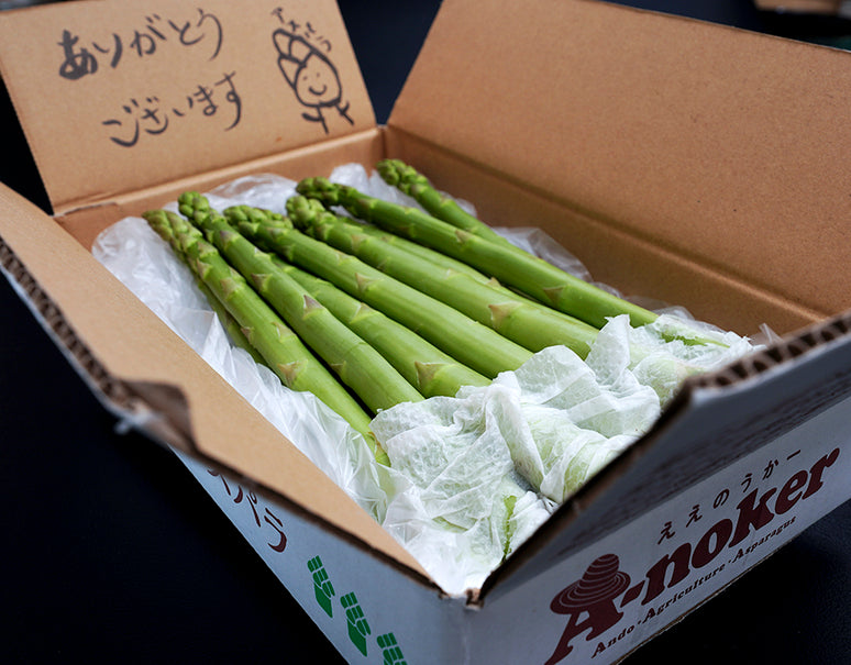 『森のアスパラ』佐賀県太良町産 約1kg（S〜Lサイズ混合）※冷蔵
