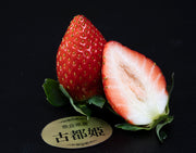 最新品種『古都姫』奈良県産 いちご 約270g×2Ｐ(11〜15粒） ※冷蔵 【トップベリー】