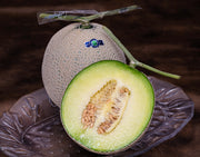 JA夜須『エメラルドメロン（マスクメロン）』高知県産 1玉 約1.3kg 化粧箱 風袋込 ※常温