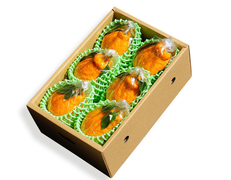 橋爪俊典さんの樹上熟成「俊菓デコ(しらぬひ)」4Lサイズ 6玉 約2kg 秀品 和歌山県産 ※常温