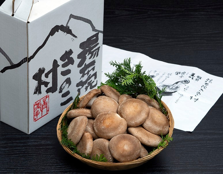 湯布院きのこ村 有機JAS認証『佐藤さんの1年原木栽培しいたけ』大分県産 しいたけ 約600g(12〜16枚) かご盛り 化粧箱・リーフレット入り ※冷蔵