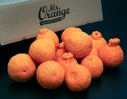 熊本県産 安田昌一さんの不知火(しらぬひ) 訳あり (傷・擦れ・ヤケあり) 約5kg 12〜18玉 産地箱 ※常温