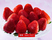『晴苺』 岡山県産 いちご 約1kg （約250g×4P） ※冷蔵