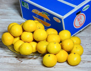 『宿毛の小夏』 高知県産 柑橘 L〜3L 約5kg 産地箱 風袋込 多少のキズ・スレ等あり ※常温