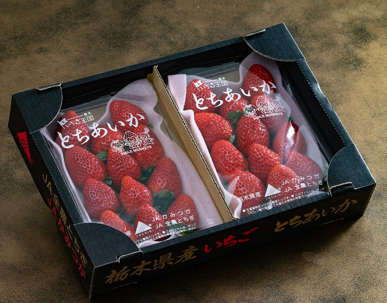『とちあいか』栃木県産いちご JAかみつが　計約500g（250g×2P） ※冷蔵