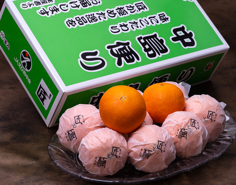 中島便り『匠のデリッシュネーブル』愛媛県産 柑橘 2〜3L 約2.5kg（8〜10玉）化粧箱 風袋込 ※常温