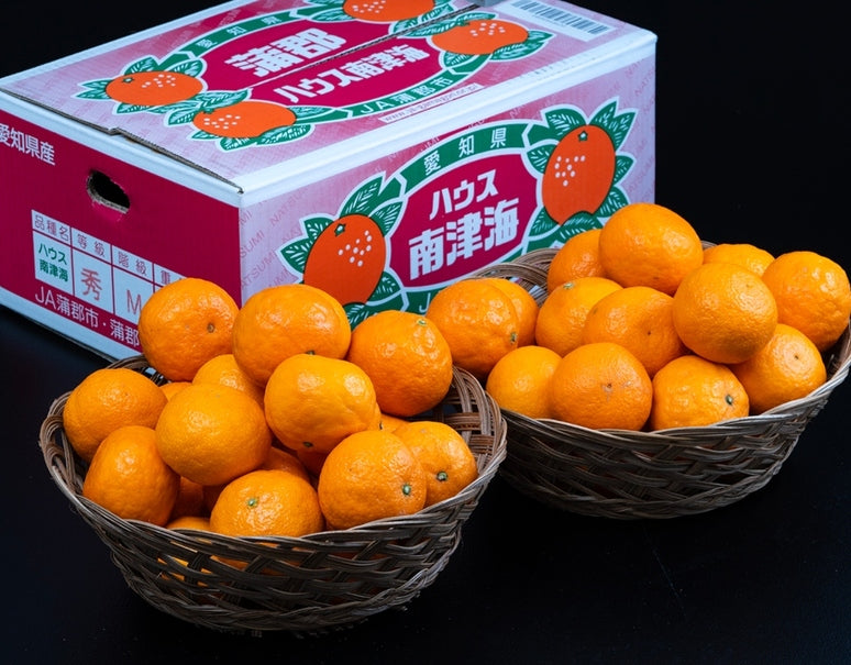 JA蒲郡市 『なつみ（南津海）』愛知県産 柑橘 優〜秀 S〜L 約5kg 産地箱 風袋込 ※常温