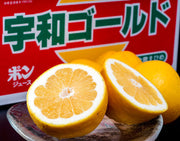 『宇和ゴールド(河内晩柑)』 愛媛県産 柑橘 秀〜優 M〜2L 約7.5kg 産地箱 風袋込 ※常温