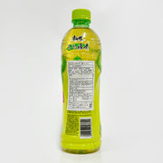 康師傅 青梅綠茶 500ml