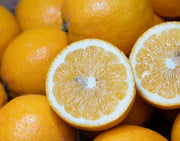 『レモネード』 静岡県産柑橘 2S〜2Lサイズ 風袋込み約2.5kg 簡易梱包 ※常温