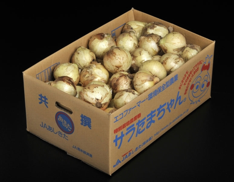 『サラたまちゃん』熊本県産たまねぎ　M〜Lサイズ 約10kg (目安として40〜50玉)　産地箱入　※常温